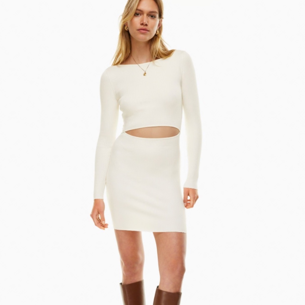 Aritzia -Wilfred Cutout Knit Longsleeve Mini Dress